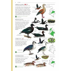 FIELD GUIDE TO THE BIRDS OF COLOMBIA_1