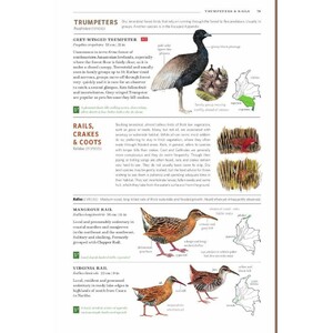 FIELD GUIDE TO THE BIRDS OF COLOMBIA 3