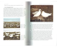 GULLS. THE NEW NATURALIST LIBRARY 4