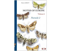 MOTHS OF EUROPE VOLUME 6. NOCTUIDS 2