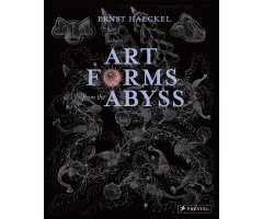 ART FORMS FROM THE ABYSS        