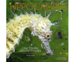 HIPPOCAMPES. UNE FAMILLE D'EXCENTRIQUES