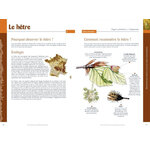 LES PLANTES AU RYTHME DES SAISONS 2