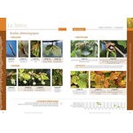 LES PLANTES AU RYTHME DES SAISONS 3