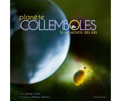 PLANÈTE COLLEMBOLES.  LA VIE SECRÈTE DES SOLS