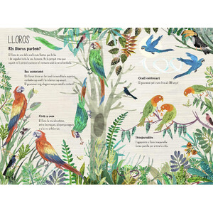 EL GRAN LLIBRE DELS OCELLS_1