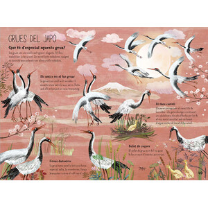 EL GRAN LLIBRE DELS OCELLS 3