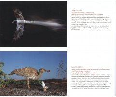 BIRD PHOTOGRAPHER OF THE YEAR. COLLECTION 4 5
