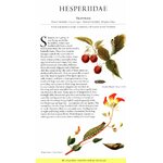 A NATURALIST'S GUIDE TO THE BUTTERFLIES OF BRITAIN AND NORTHERN EUROPE. 2 ED._1