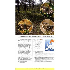 A NATURALIST'S GUIDE TO THE BUTTERFLIES OF BRITAIN AND NORTHERN EUROPE. 2 ED. 3