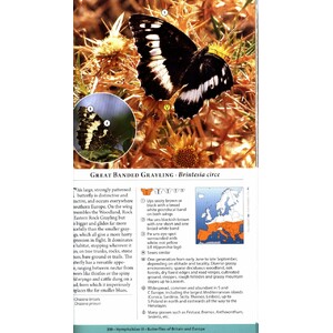 A NATURALIST'S GUIDE TO THE BUTTERFLIES OF BRITAIN AND NORTHERN EUROPE. 2 ED. 4