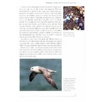 ROCKY SHORES 7