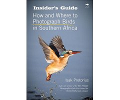 INSIDER'S GUIDE: HOW AND WHERE TO PHOTOGRAPH BIRDS IN SOUTHERN AFRICA