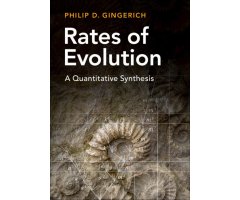 RATES OF EVOLUTION: A QUANTITATIVE SYNTHESIS      