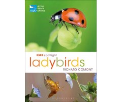 RSPB SPOTLIGHT: LADYBIRDS