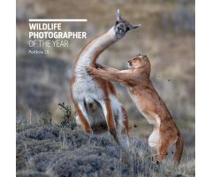 WILDLIFE PHOTOGRAPHER OF THE YEAR. PORTFOLIO 29