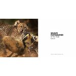 WILDLIFE PHOTOGRAPHER OF THE YEAR. PORTFOLIO 29_1