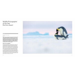 WILDLIFE PHOTOGRAPHER OF THE YEAR. PORTFOLIO 29 4