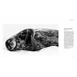 WILDLIFE PHOTOGRAPHER OF THE YEAR. PORTFOLIO 29 5