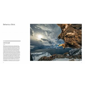 WILDLIFE PHOTOGRAPHER OF THE YEAR. PORTFOLIO 29 6