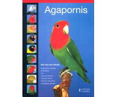 AGAPORNIS  