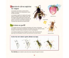 DESCOBREIXO LES BESTIOLES I APRENC A RECONÈXER-LES 4