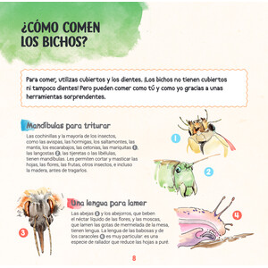 DESCUBRO LOS BICHOS Y APRENDO A RECONOCERLOS_1