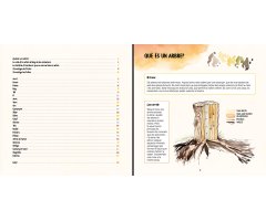 DESCOBREIXO ELS ARBRES I APRENC A RECONÉIXER-LOS 2