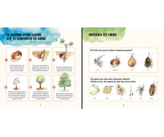 DESCOBREIXO ELS ARBRES I APRENC A RECONÉIXER-LOS 3