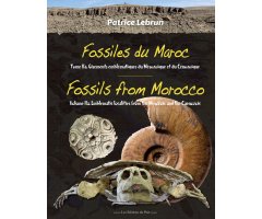 FOSSILES DU MAROC, TOME 2A : GISEMENTS EMBLÉMATIQUES DU MÉSOZOÏQUE ET DU CÉNOZOÏQUE/FOSSILS FROM MOROCCO, VOLUME 2: EMBLEMATIC LOCALITIES FROM THE MES