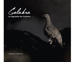 GELABRA, LE LAGOPÈDE DES PYRÉNÉES- ARIÈGE ET HAUTE-GARONNE