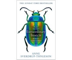 EXTRAORDINARY INSECTS             