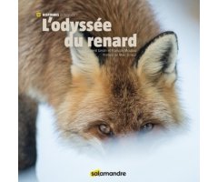 L'ODYSSÉE DU RENARD. COLLECTION HISTOIRES D'IMAGES