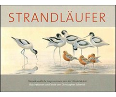 STRANDLÄUFER - NATURKUNDLICHE IMPRESSIONEN VON DER NORDSEEKÜSTE                                                                                       