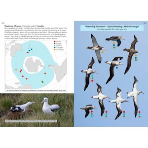 OCEANIC BIRDS OF THE WORLD 3