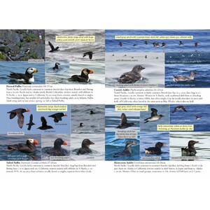 OCEANIC BIRDS OF THE WORLD 5