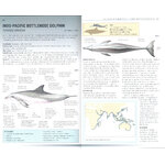 HANDBOOK OF WHALES, DOLPHINS AND PORPOISES_1