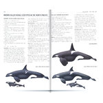 HANDBOOK OF WHALES, DOLPHINS AND PORPOISES 3