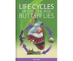 LIFE CYCLES OF BRITISH & IRISH BUTTERFLIES                                                                                                        