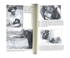 EL ÚLTIMO ABRAZO. LAS EMOCIONES DE LOS ANIMALES Y LO QUE NOS CUENTAN DE NOSOTROS 2