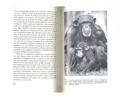 EL ÚLTIMO ABRAZO. LAS EMOCIONES DE LOS ANIMALES Y LO QUE NOS CUENTAN DE NOSOTROS 3