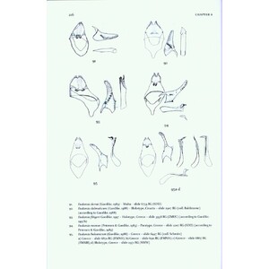 MICROLEPIDOPTERA OF EUROPE, VOLUME 7 TINEIDAE I (DRYADAULINAE, HAPSIFERINAE, EUPLOCAMINAE, SCARDIINAE, NEMAPOGONINAE AND MEESSIINAE) 4