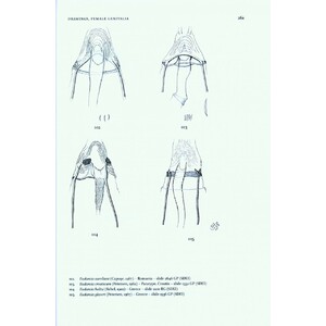 MICROLEPIDOPTERA OF EUROPE, VOLUME 7 TINEIDAE I (DRYADAULINAE, HAPSIFERINAE, EUPLOCAMINAE, SCARDIINAE, NEMAPOGONINAE AND MEESSIINAE) 5