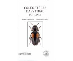 COLÉOPTÈRES DASYTIDAE DE FRANCE     