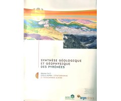 CYCLE ALPIN: STRATIGRAPHIE ET PHÉNOMÈNES ALPINS VOL. 2 ,3                                                                                             