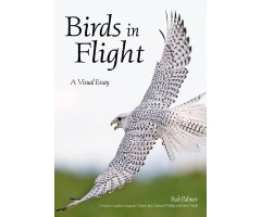 BIRDS IN FLIGHT. A PHOTOGRAPHIC ESSAY OF HAWKS, DUCKS, EAGLES, OWLS, HUMMINGBIRDS, AND MORE