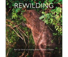 REWILDING: REAL LIFE STORIES OF RETURNING BRITISH AND IRISH WILDLIFE TO BALANCE                                                                       