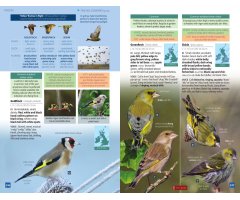 BRITISH BIRDS. A POCKET GUIDE 3