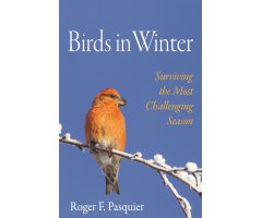 BIRDS IN WINTER. SURVIVING THE MOST CHALLENGING SEASON