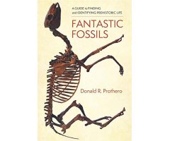 FANTASTIC FOSSILS                                                                                                                                     